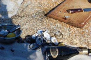 Oysters 2