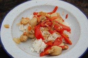 Scallops