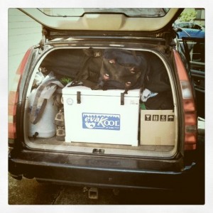 Packed car
