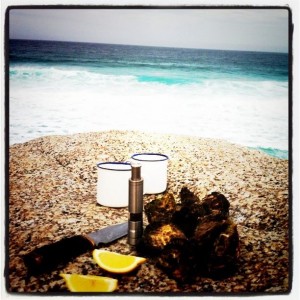 Oysters 1