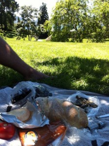 Picnic in the Hobart Botanical Gardens
