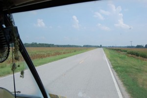 Mississippi cornfields