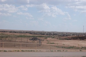feedlot