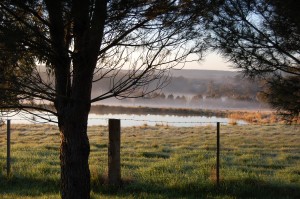 DSC_0507