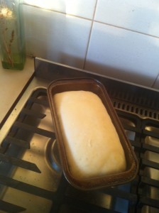 bread_rising