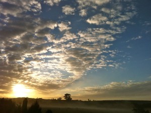 sunrise_best